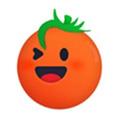 番茄视频黄app苹果版安装18岁下载